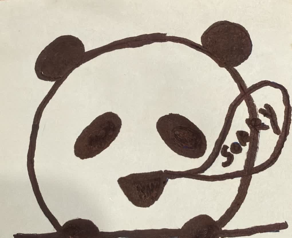 panda sorry